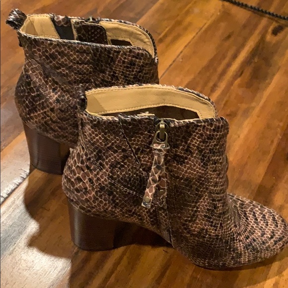 Snakeskin Lucca Lane Avra Booties 🐍 - Picture 4 of 8